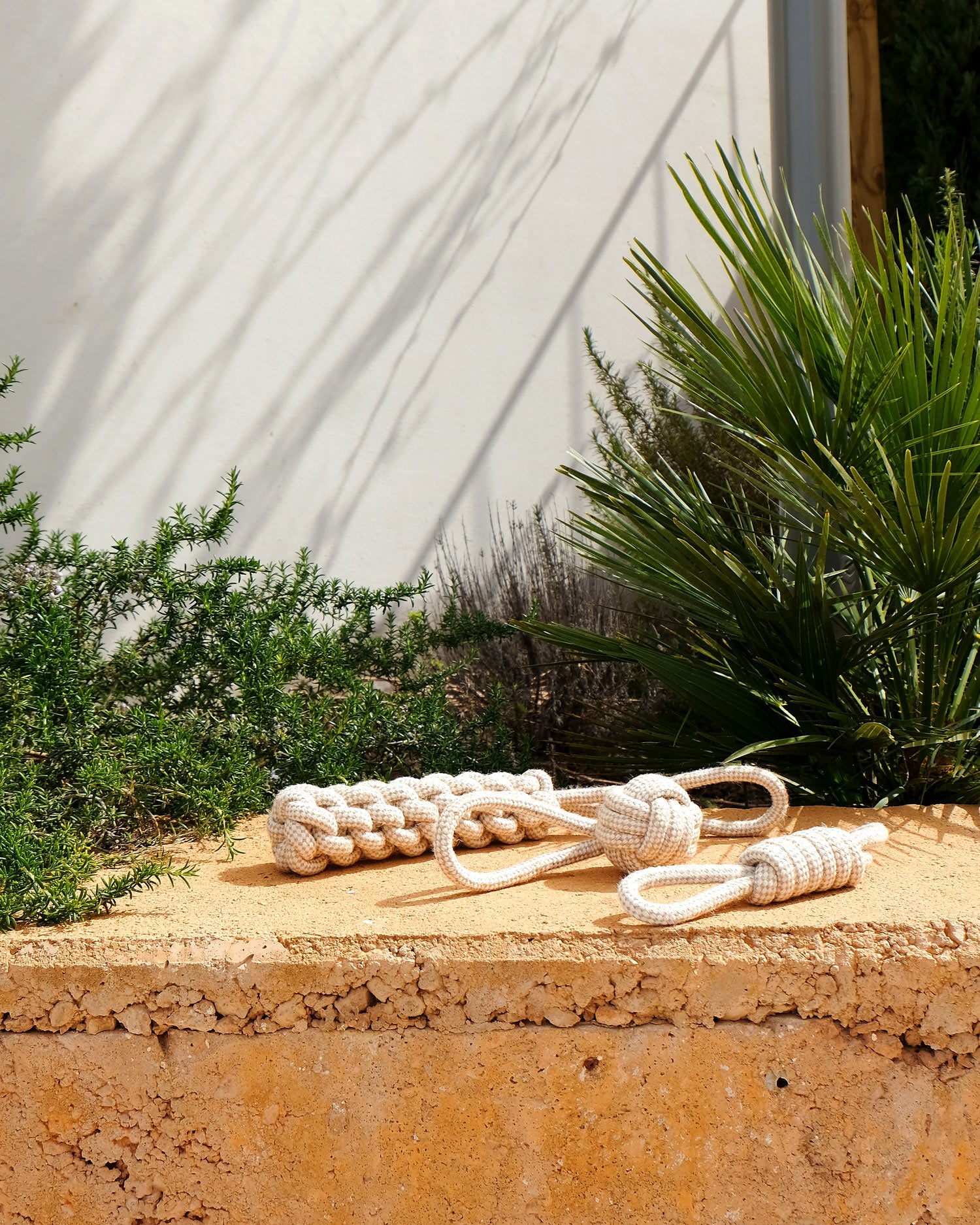 Natural Dog Rope Toys (Set of 3)