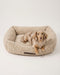 Beige teddy sofa dog bed with a Dachshund, Le Noof