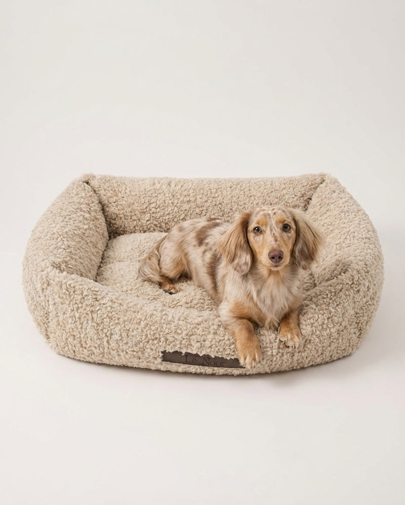 Beige teddy sofa dog bed with a Dachshund, Le Noof