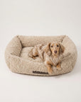 Beige teddy sofa dog bed with a Dachshund, Le Noof