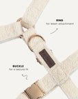 Teddy Dog Harness Set