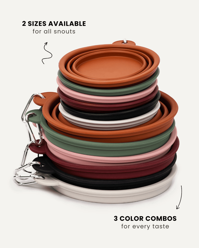 stack of collapsible dog bowls in different colors