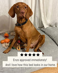 Grey Corduroy Orthopedic Dog Bed For Large Dogs