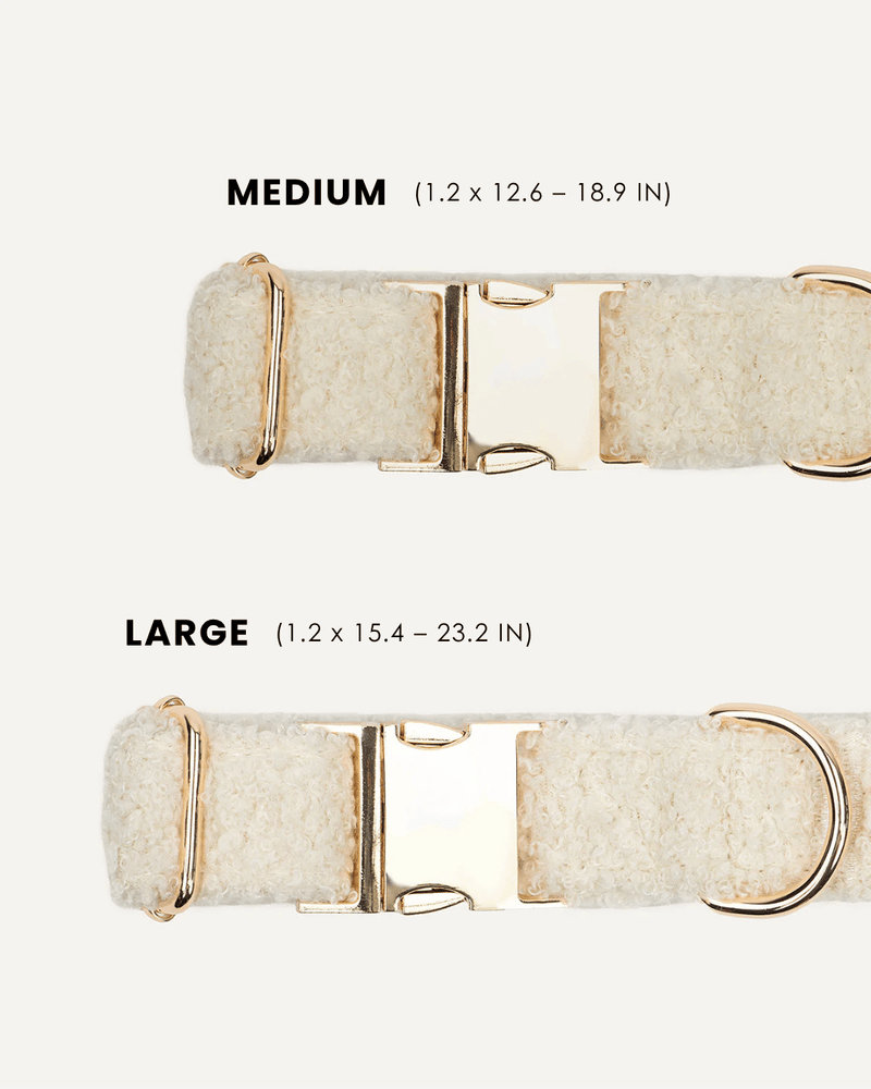 Cream White Teddy Dog Collar