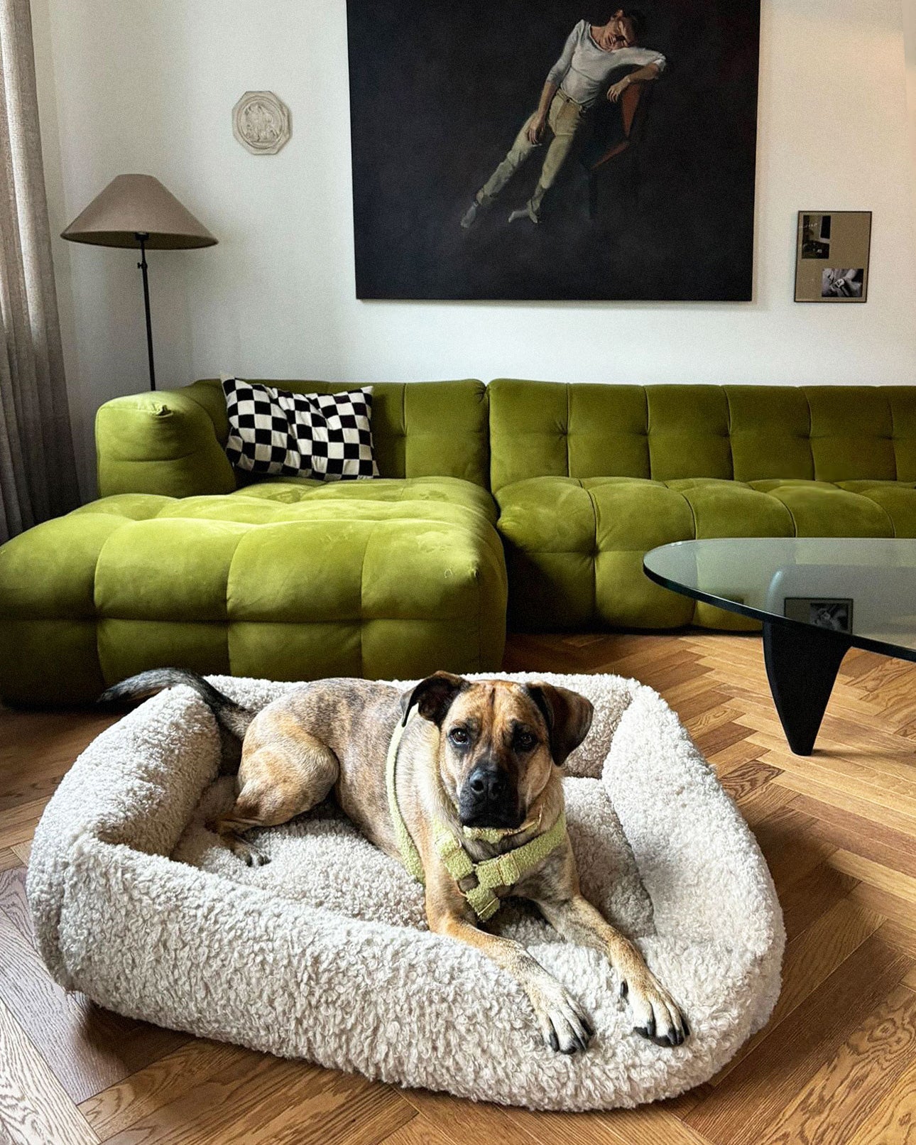 Beige teddy sofa dog bed, Le Noof