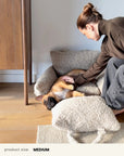 Beige Teddy Travel Car Dog Bed