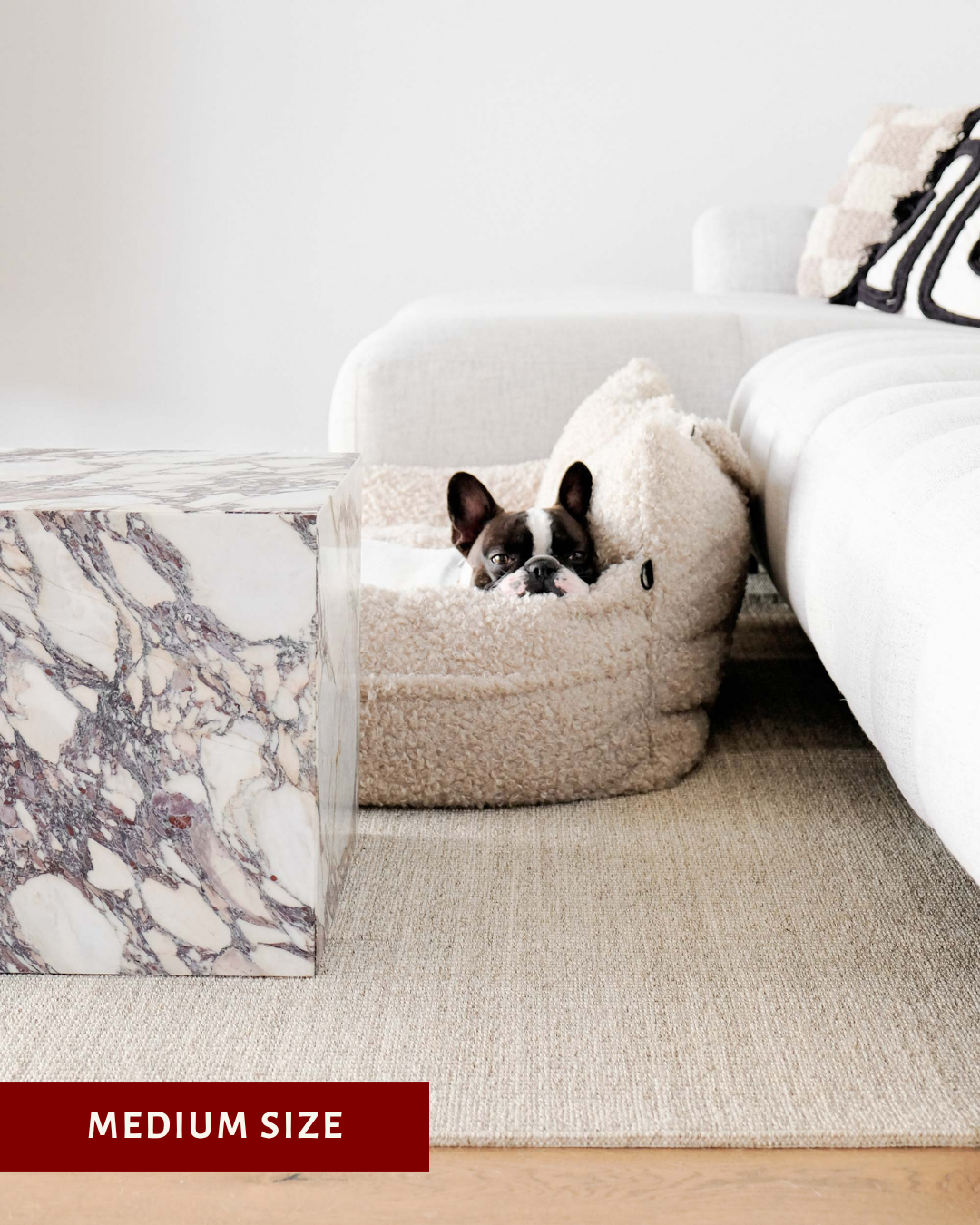 Beige Teddy Car Dog Bed