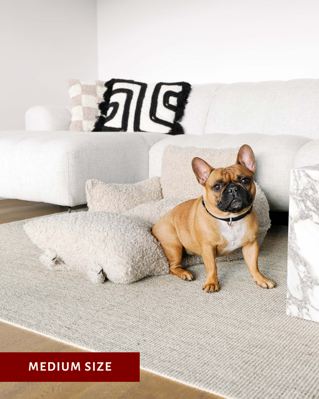 Beige Teddy Car Dog Bed