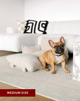 Beige teddy travel car dog bed by the couch, Le Noof