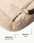 French Bulldog Beige Teddy Sofa Bed