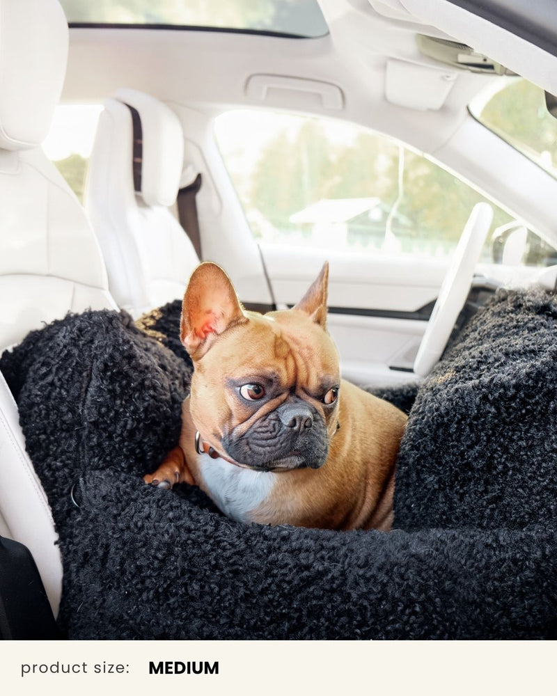 Black Teddy Travel Car Dog Bed