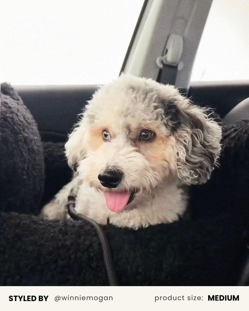 Black Teddy Travel Car Dog Bed