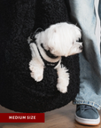 Black Teddy Travel Car Dog Bed