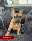 Black Teddy Travel Car Dog Bed