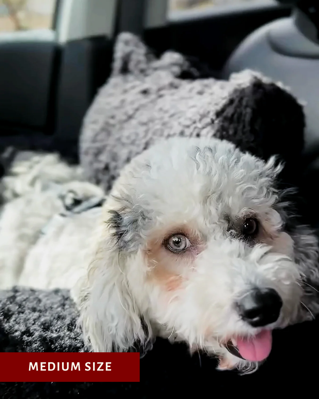 Black Teddy Car Dog Bed