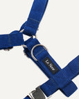 Blue corduroy dog harness with Le Noof logo super closeup