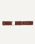 Brown teddy Le Noof dog collar