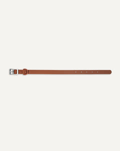 Brown Le Noof waterproof dog collar