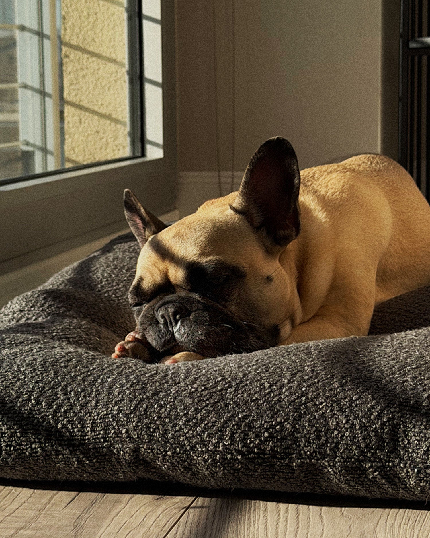Grey boucle floor dog pillow customer review, Le Noof
