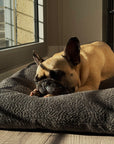 Grey boucle floor dog pillow customer review, Le Noof