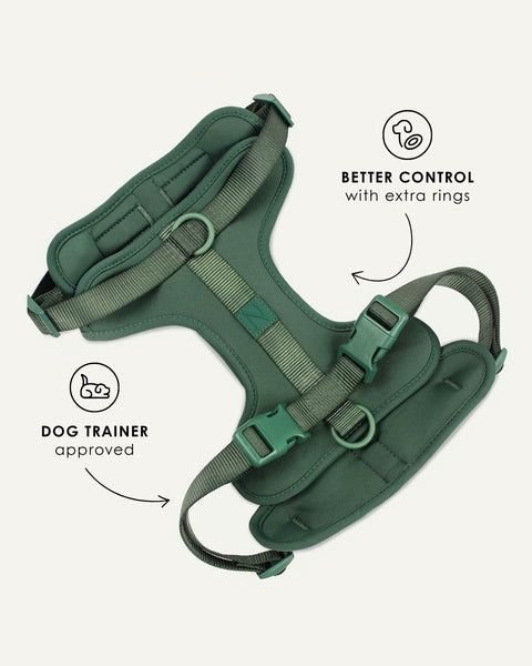 Green adjustable no-pull dog harness, Le Noof