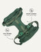 Green adjustable no-pull dog harness, Le Noof