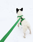 Kelly Green Corduroy Dog Leash