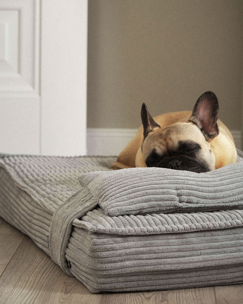 Grey corduroy orthopedic dog bed customer review, Le Noof