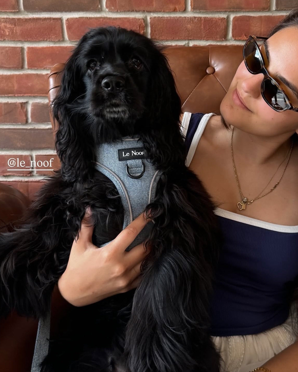 Light Blue Denim No-Pull Dog Harness