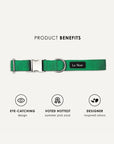 Kelly green corduroy dog collar, Le Noof
