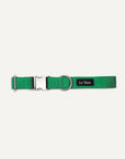 Green corduroy Le Noof dog collar