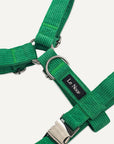 Kelly green dog harness with Le Noof logo super closeup