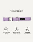 Lavender corduroy dog collar, Le Noof