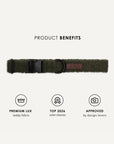Moss Green Teddy Dog Collar