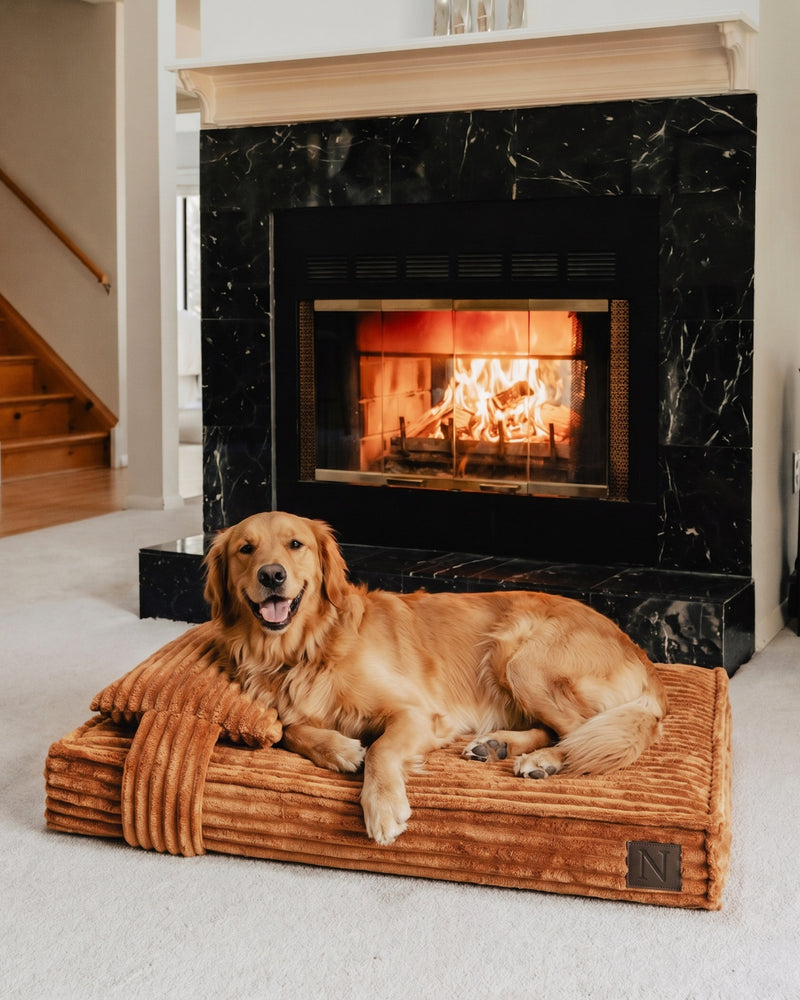 Tan Brown Flannel Orthopedic Dog Bed