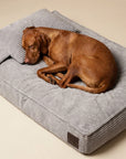 Grey Corduroy Orthopedic Dog Bed For Large Dogs