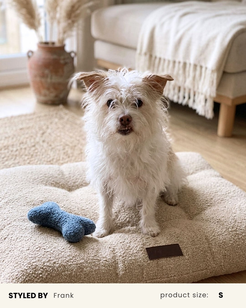 Blue Boucle Bone Toy