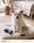 Blue Boucle Bone Toy
