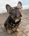 Brown Checkered Dog Leash