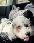 Black Teddy Travel Car Dog Bed