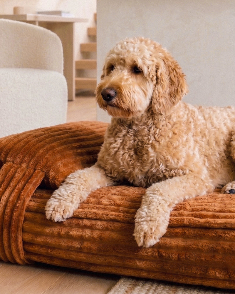 Tan Brown Flannel Orthopedic Dog Bed