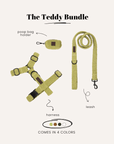 Teddy Dog Harness Set