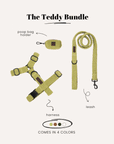 Teddy Dog Harness Set