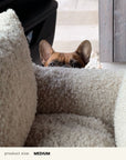 Beige Teddy Travel Car Dog Bed