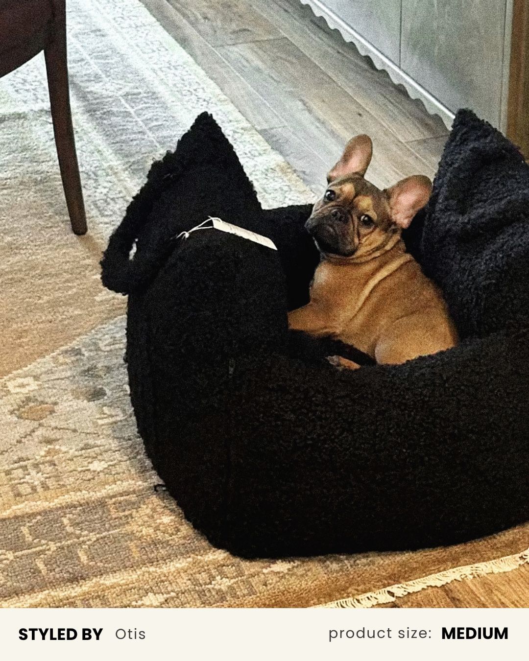 French Bulldog Black Teddy Car Bed