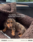 Brown Teddy Dachshund Car Seat Bed