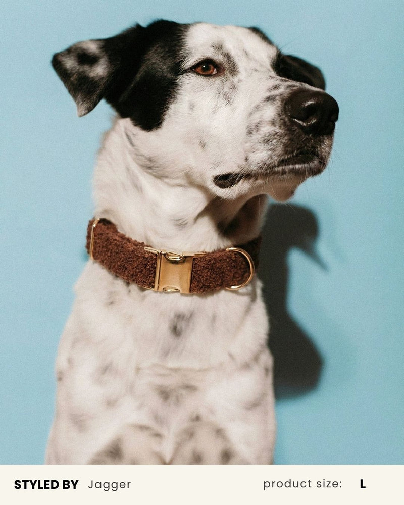Brown Teddy Dog Collar