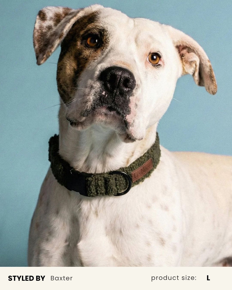 Moss Green Teddy Dog Collar