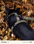 Moss Green Teddy Step-In Dog Harness