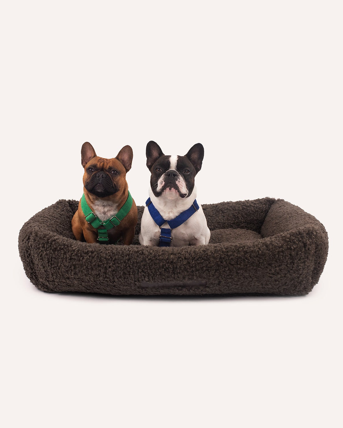 Two dogs sitting on a brown pet bed with a white background
